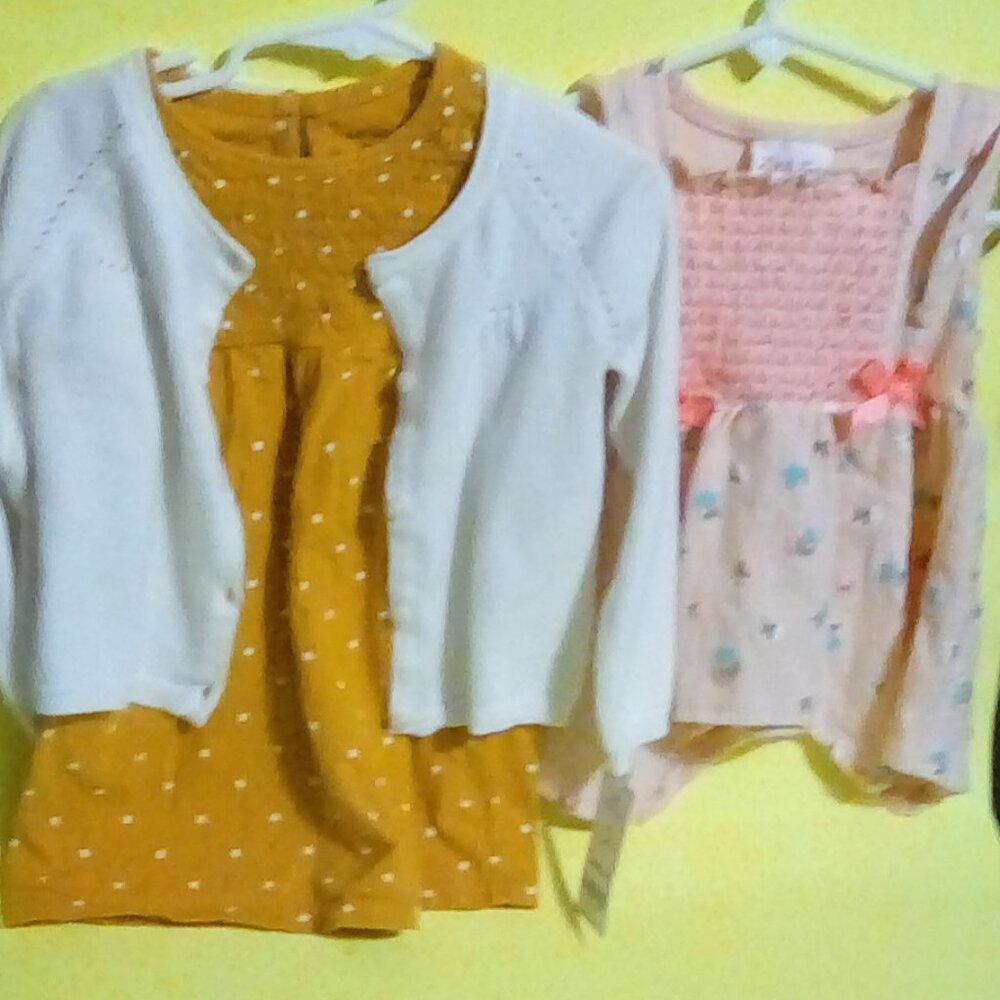 Carter's Cardigan dress & Little less outfit 18m